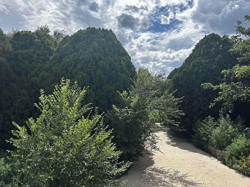 1207 N Tyler St, Amarillo, TX, 79107-3750 | Card Image