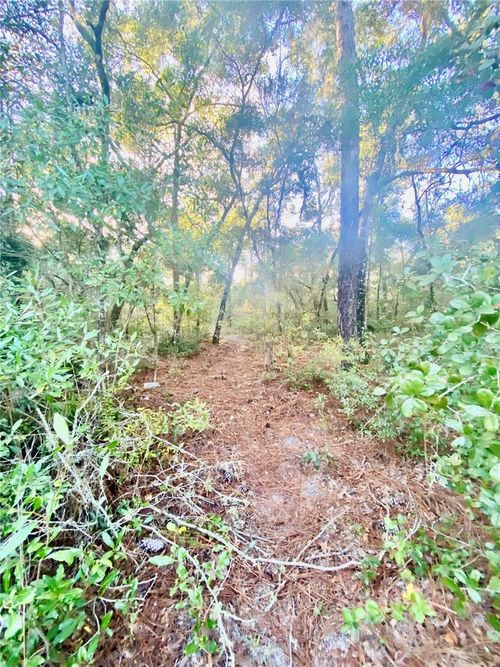 3986 S Pelican Ave, INVERNESS, FL, 34450 | Card Image