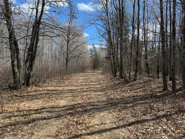 24051 324 Th St, Home with 0 bedrooms, 0 bathrooms and null parking in Sebeka MN | Image 18