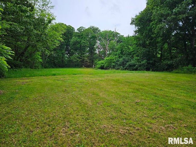 13973 Halliday Rd, Home with 2 bedrooms, 1 bathrooms and null parking in Plainview IL | Image 55