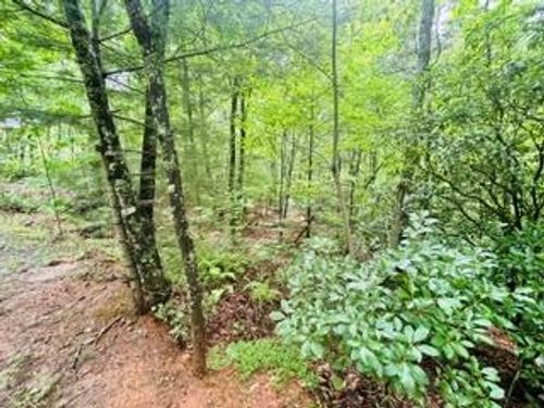 Lot 106 Pine Terrace Circle, Blue Ridge, GA, 30513 | Card Image