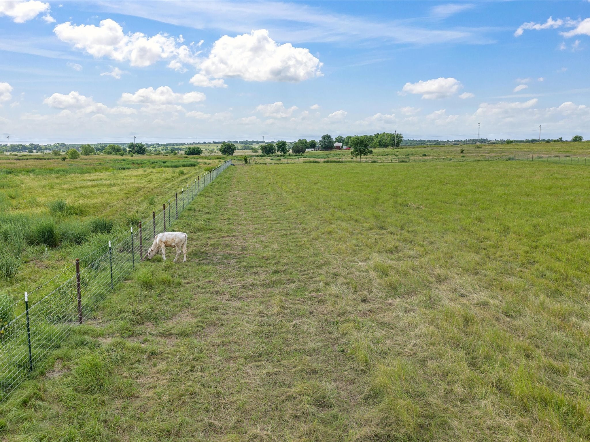 Land in Cleburne 5