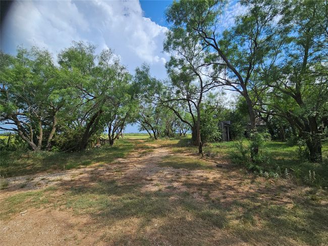 View of yard | Image 15