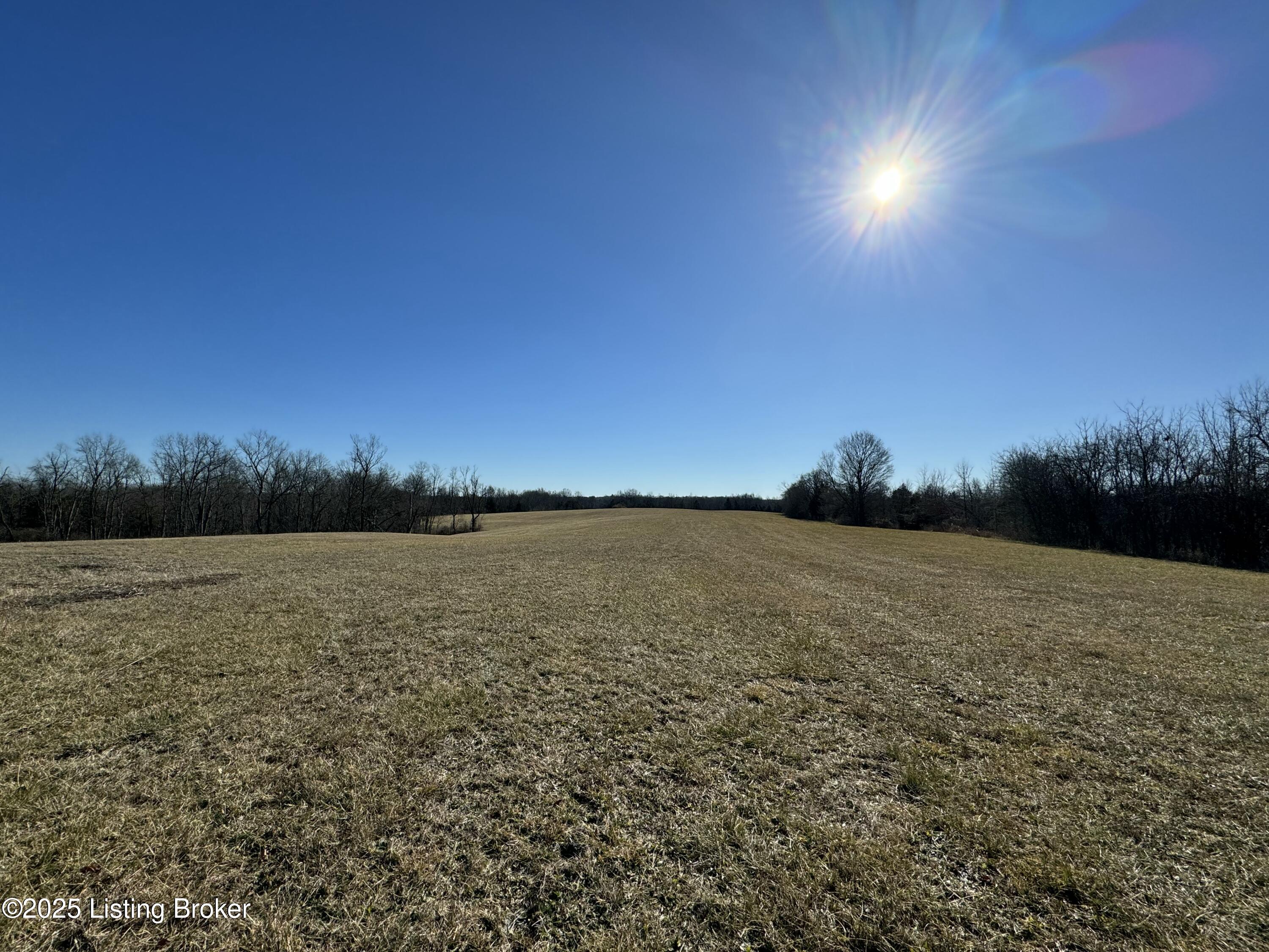 Land in Shelbyville 3