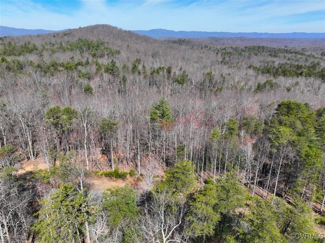 41.18 Acres (Off Of) Pole Bridge Rd, Home with 0 bedrooms, 0 bathrooms and null parking in Stuart VA | Image 23