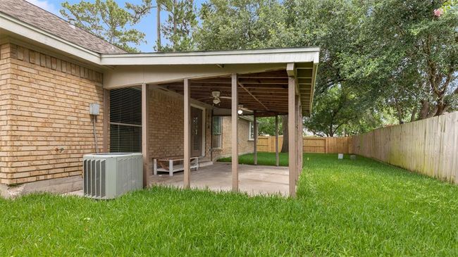 Back yard | Image 32
