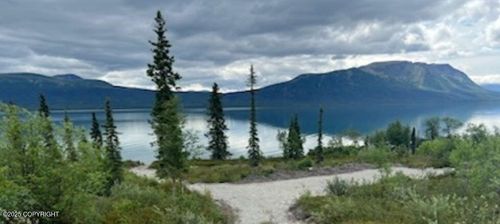 L6 B9 Keyes Point Lake Clark, Remote, AK, 99640 | Card Image