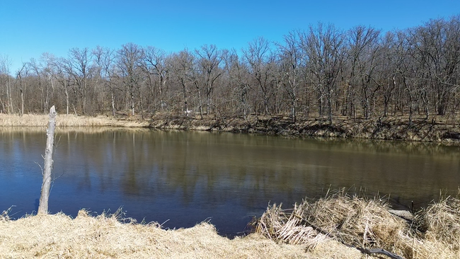 39 Sandy Ln, Home with 0 bedrooms, 0 bathrooms and null parking in Perham MN | Image 8