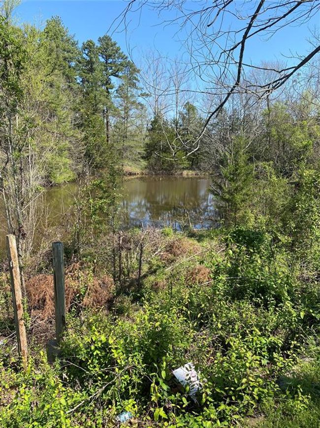 View of water feature | Image 6