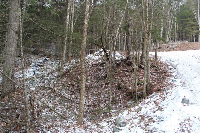 LOT-17 - 000 Wetherbee Farm Rd, Home with 0 bedrooms, 0 bathrooms and null parking in Lisbon NH | Image 30