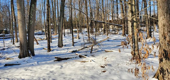 Lot | Image 5