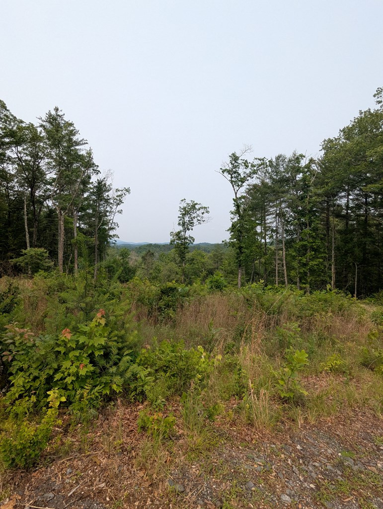 Land in Murphy 4
