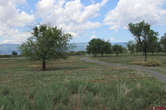 14433 2600 Rd, Home with 0 bedrooms, 0 bathrooms and null parking in Cedaredge CO | Image 7