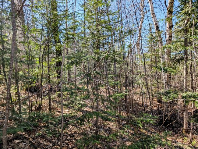 N12912 State Highway 13, House other with 2 bedrooms, 1 bathrooms and null parking in Fifield WI | Image 49
