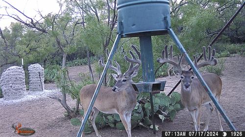 554 Cr 102, Ballinger, TX, 76821 | Card Image