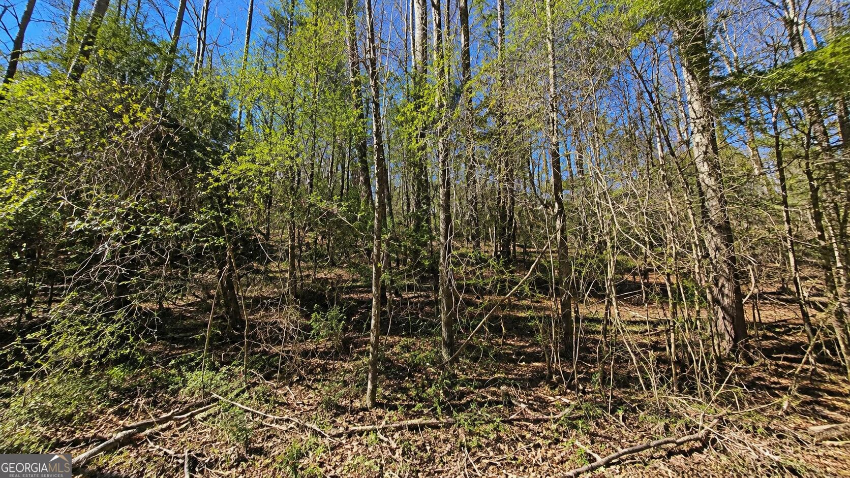 Land in Georgetown 5