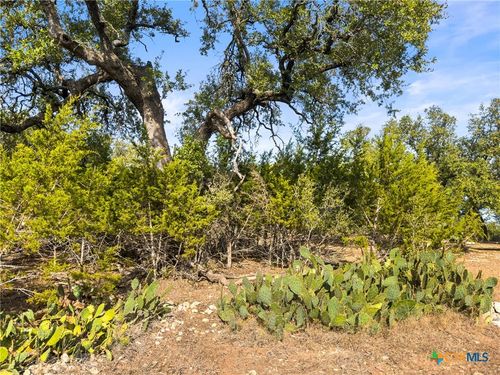 1426 Ledgebrook, Spring Branch, TX, 78070-4961 | Card Image