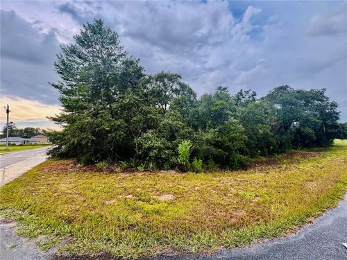 TBD Sw 111th Pl, OCALA, FL, 34476 | Card Image