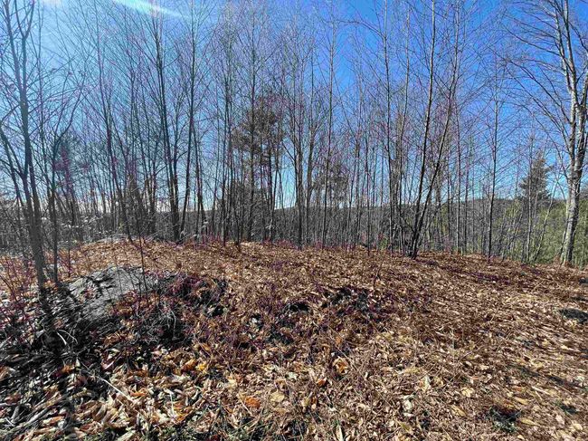 63 New Boston Rd, Home with 0 bedrooms, 0 bathrooms and null parking in Francestown NH | Image 29