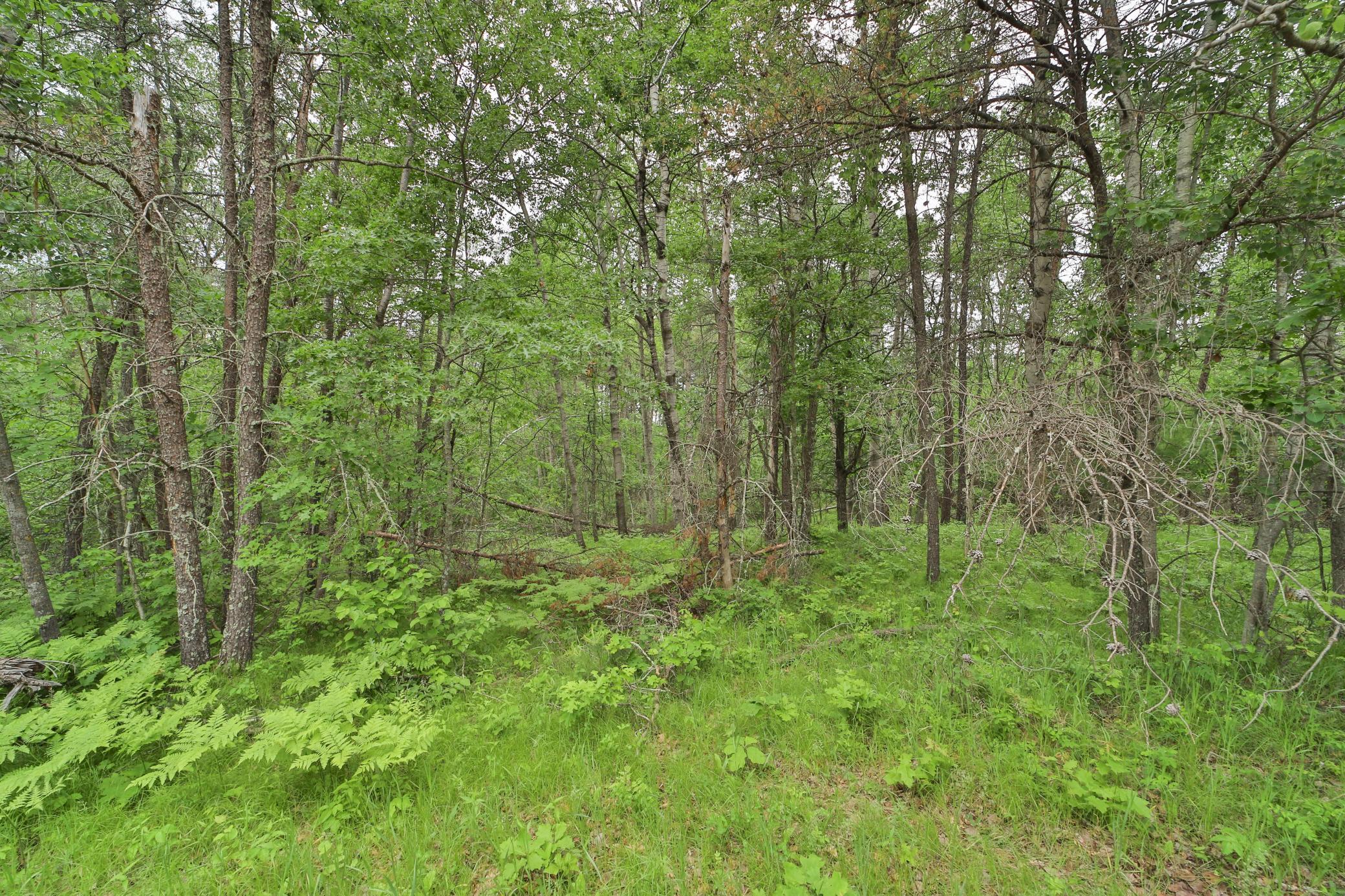 Land in Breezy Point 2