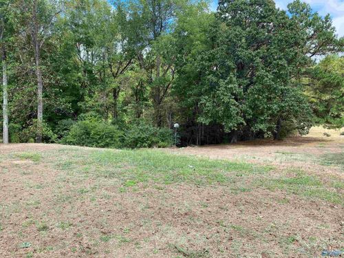 1 Acre Highway 67, Somerville, AL, 35670 | Card Image