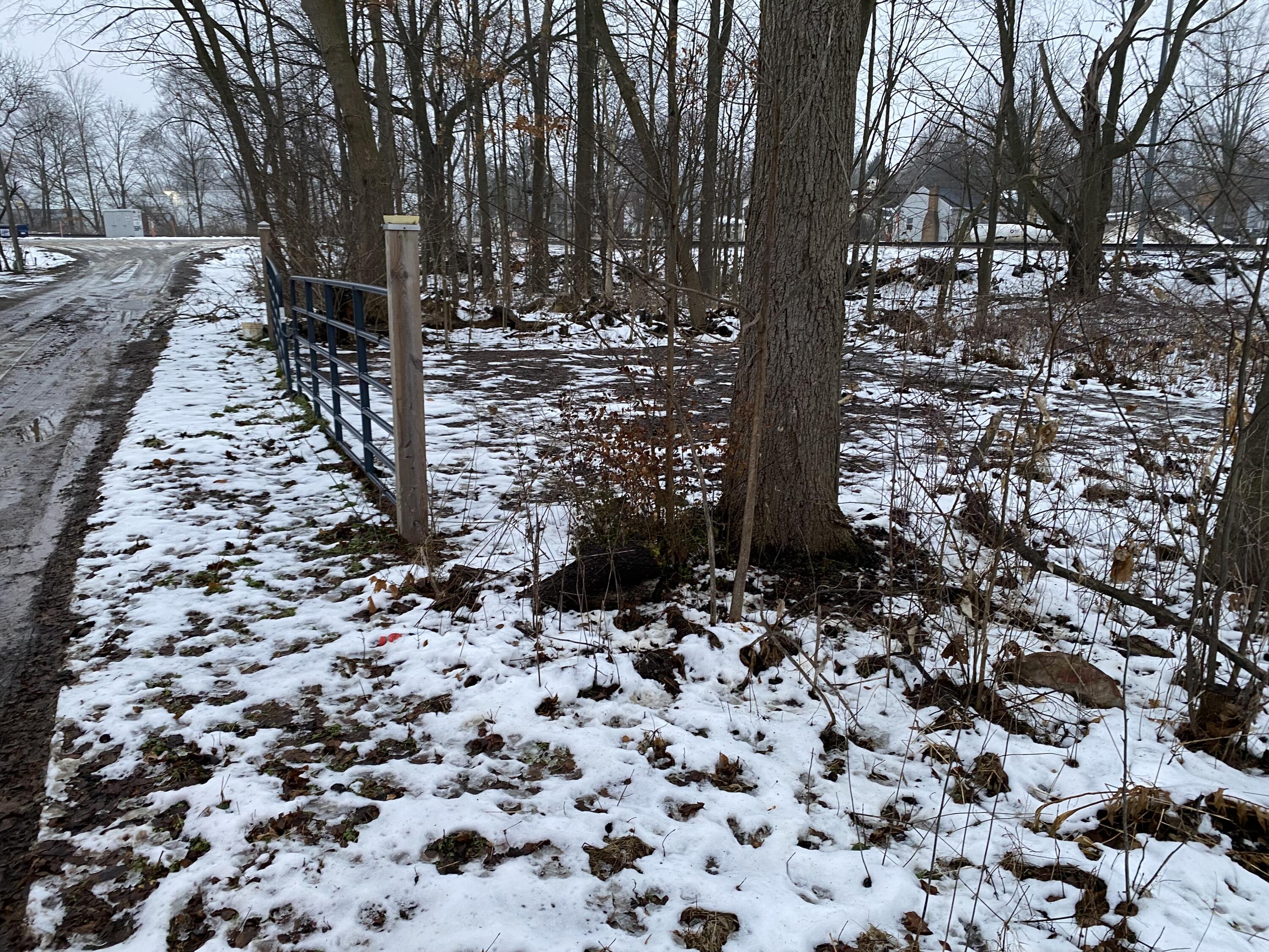 Land in Marcellus 2
