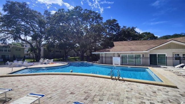 APT-103 - 952 Virginia St, Condo with 1 bedrooms, 1 bathrooms and null parking in DUNEDIN FL | Image 8