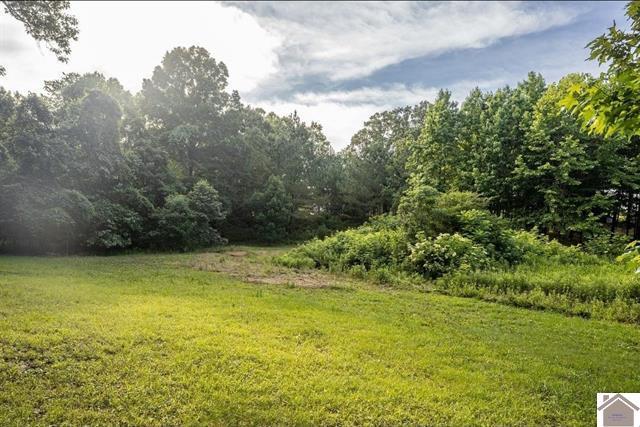 Land in Benton 3