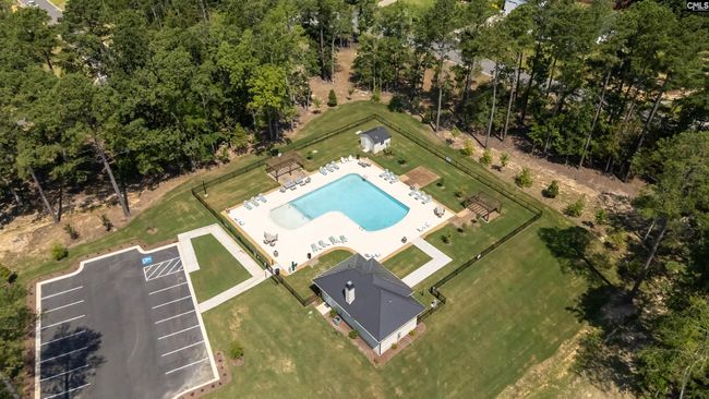 812 Elms Spinney Ln, Home with 0 bedrooms, 0 bathrooms and null parking in Chapin SC | Image 32