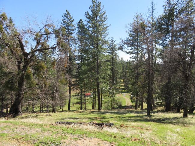 4196 Bald Mountain Rd, Home with 0 bedrooms, 0 bathrooms and null parking in West Point CA | Image 31