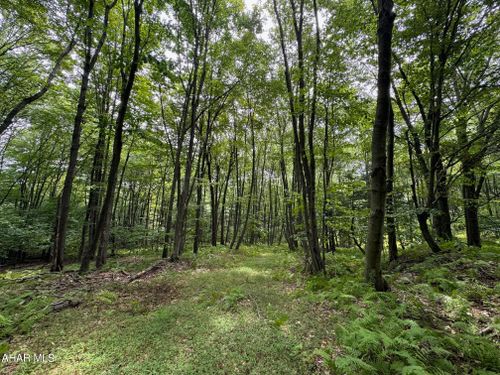 Off Kettle Rd, New Enterprise, PA, 16664 | Card Image