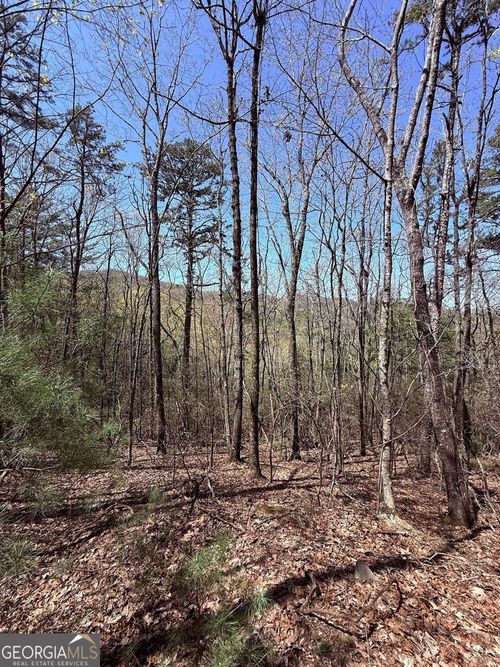 751752-LOT 751 Morton Dr, Ellijay, GA, 30540-4292 | Card Image