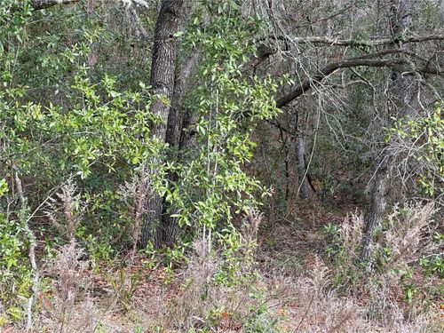 3803 W Keene Lane, Dunnellon, FL, 34433 | Card Image