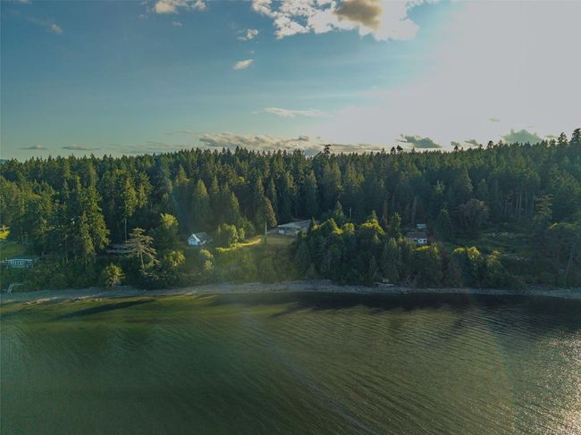 Water view with a forest | Image 91