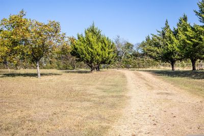 looking from the drivway to electric gate entry | Image 3