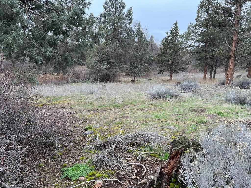 Land in Weed