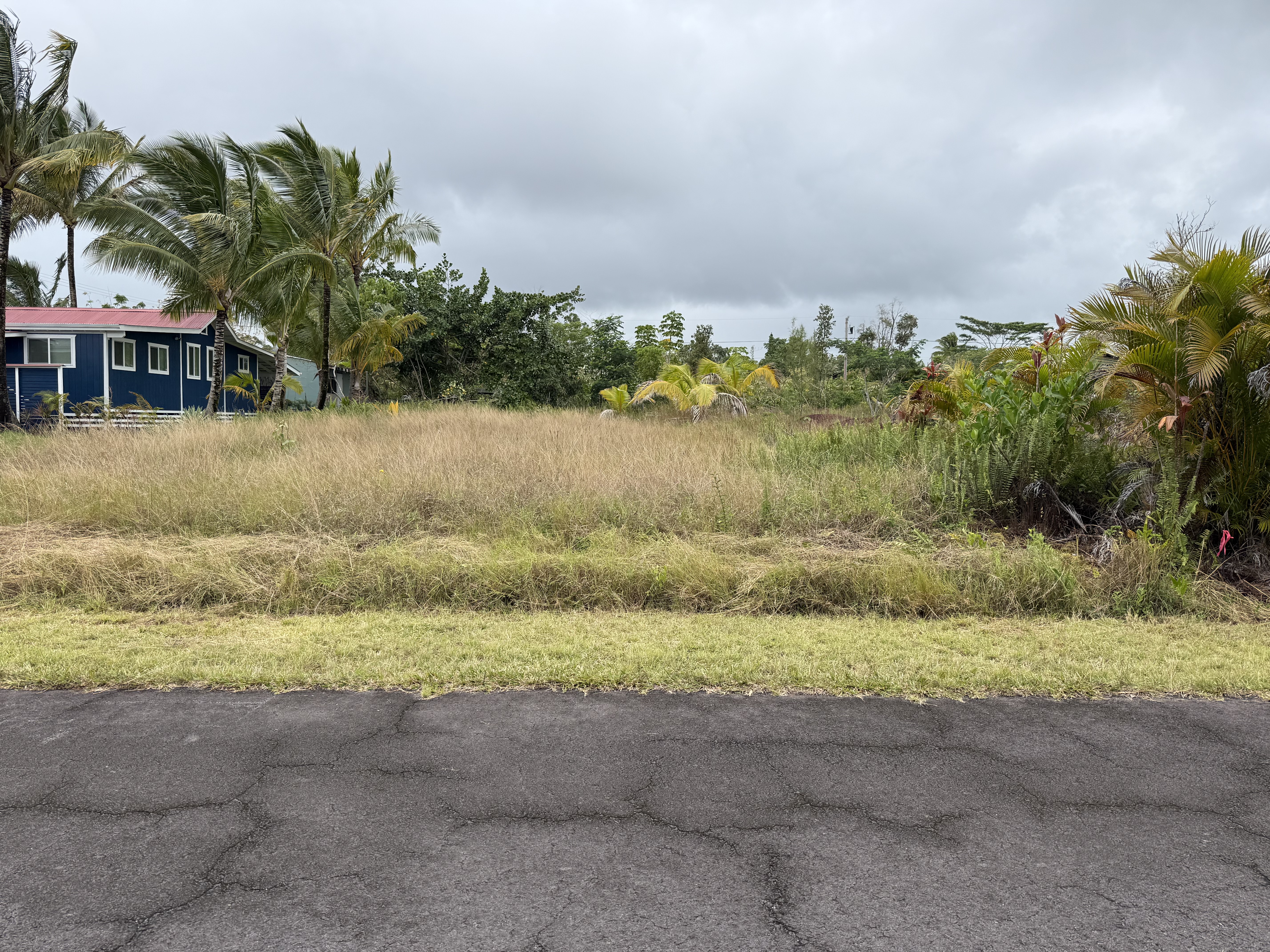 Land in Pahoa 5