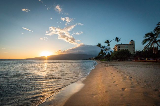 APT-301 - 938 S Kihei Rd, Condo with 1 bedrooms, 1 bathrooms and null parking in Kihei HI | Image 24