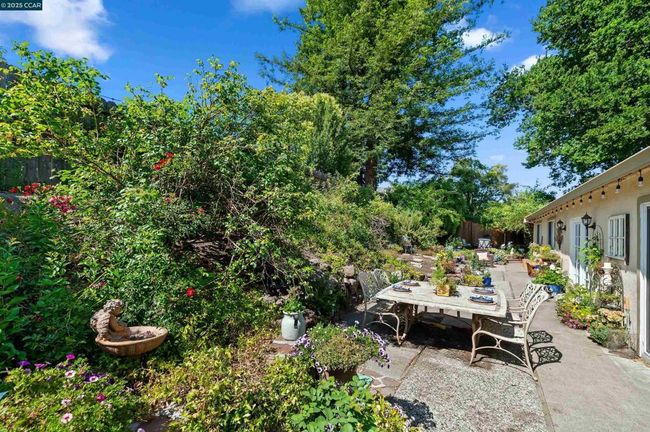 Garden | Image 34