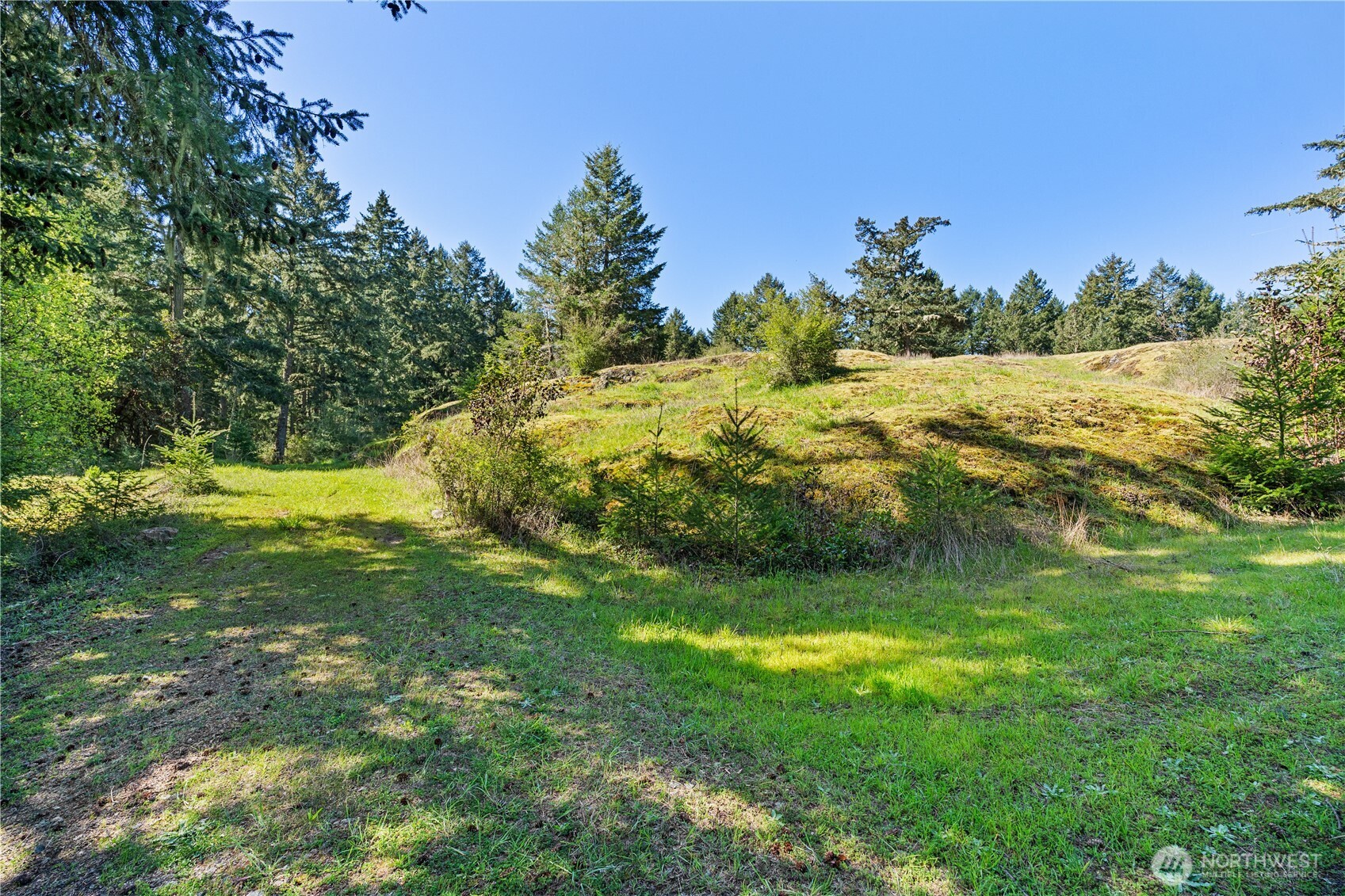 Land in Friday Harbor 3