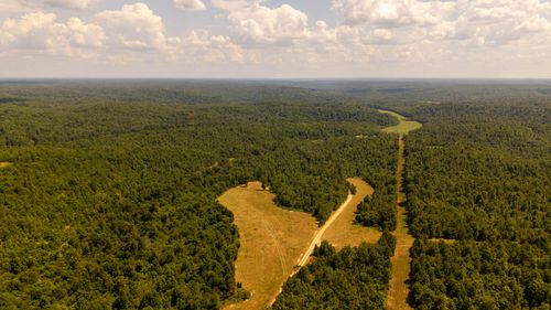 Tbd County Road 443, Birch Tree, MO, 65438 | Card Image