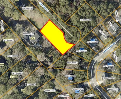 1311 Joe Steed Ct, Mount Pleasant, SC, 29464-9442 | Card Image