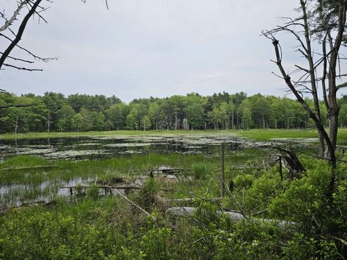 105-26 Back Eighty Rd, Boothbay, ME, 04537 | Card Image