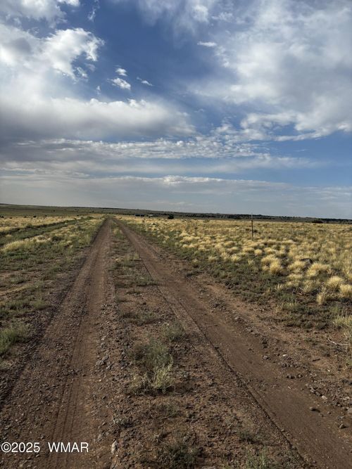 53C County Rd, Concho, AZ, 85924 | Card Image