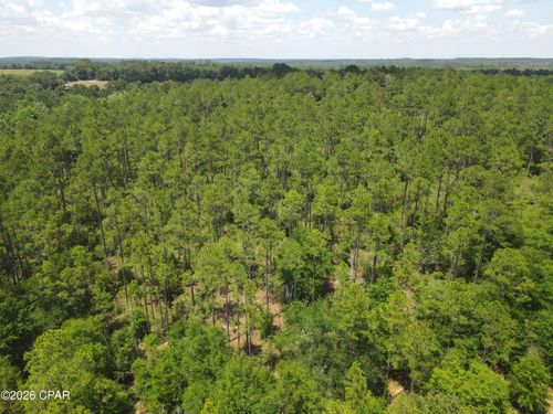 0 St Hwy 83, Defuniak Springs, FL, 32433 | Card Image