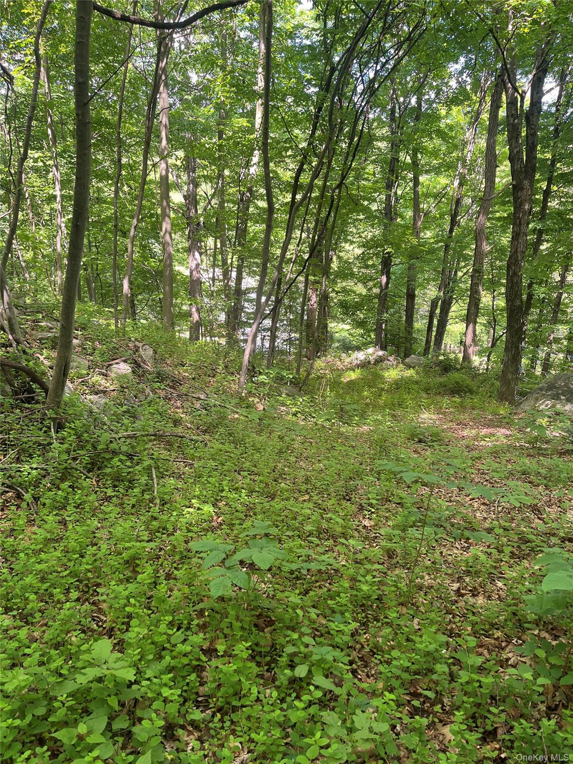 Land in Putnam Valley 4