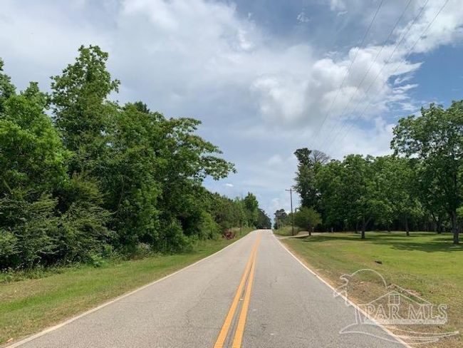 19600 Highway 43, Home with 0 bedrooms, 0 bathrooms and null parking in Grove Hill AL | Image 5