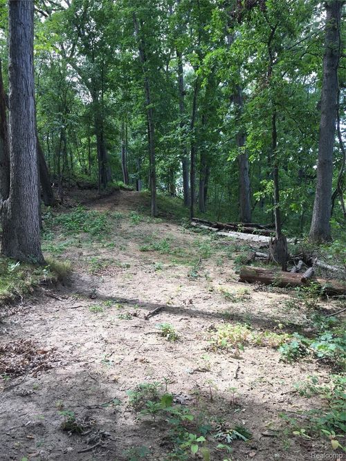 00_Whitewood_Vacant Whitewood Road N, Hamburg Township, MI, 48169 | Card Image