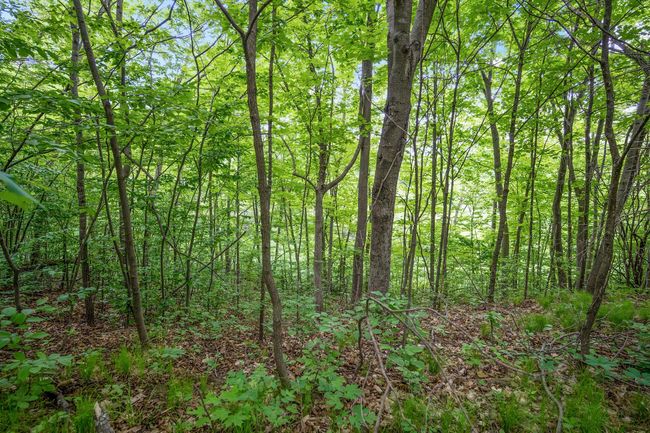 38171 Mica Avenue, House other with 2 bedrooms, 2 bathrooms and null parking in Sunrise Twp MN | Image 46