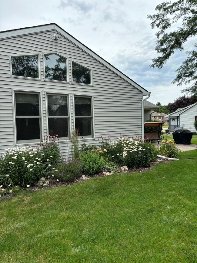 Summer Flowers | Image 51